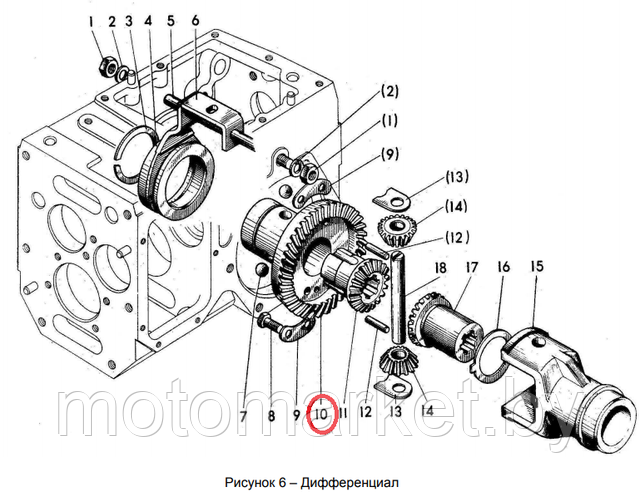 koleso zubchatoe differenciala motobloka MTZ motomarket.by