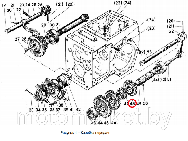 koleso zubchatoe motobloka mtz 05 -1701219 motomarket.by