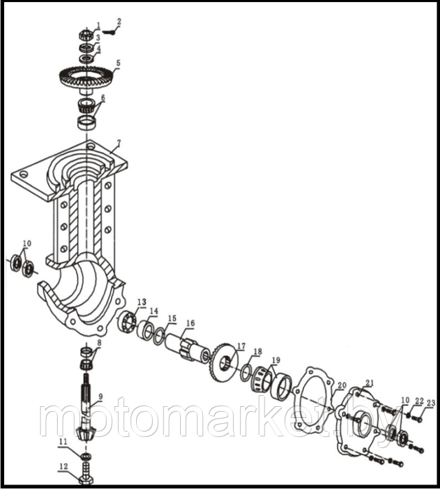425012454 w640 h2048 shema reduktora kultivatora motobloka