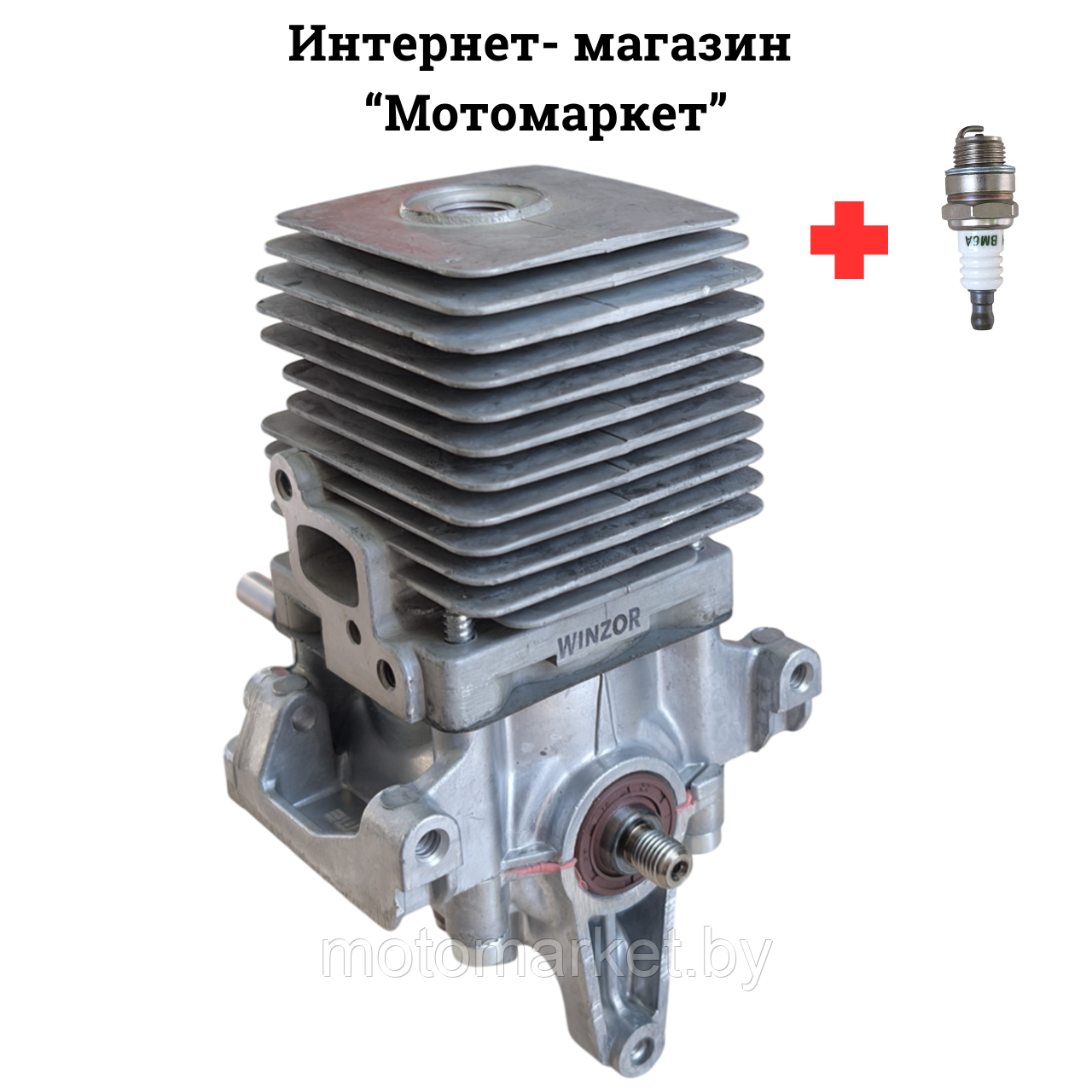 JAkcw1tP78KheWPP1769113031.png Двигатель Stihl FS 55 — изображение 1