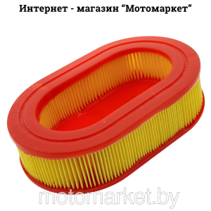 Воздушный фильтр (бумажный фильтрующий элемент) для газонокосилки ECO LG-620, LG-633, LG-633 Light, LG-733, LG-734, LG-735, LG-745 E и ECO LG-820, DVO160, MX160, DV173, MX175, DVO175, MX176, DV196, MX196 и MX196E, DV225, DV225E, HD196, HD196E, HD225 и HD225E motomarket.by